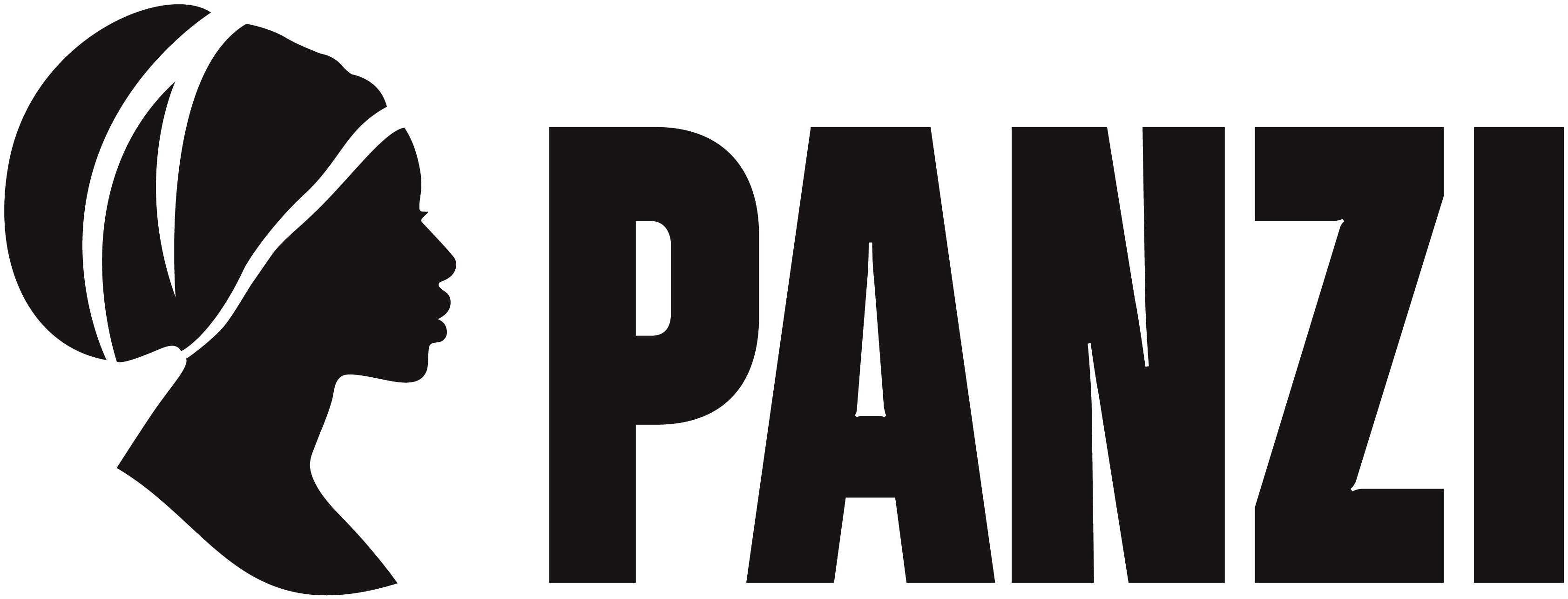 Panzi Foundation logo